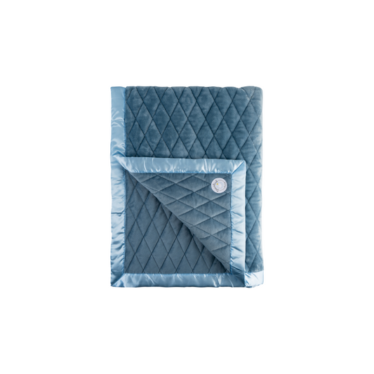 Weighted Toddler Blanket -DS