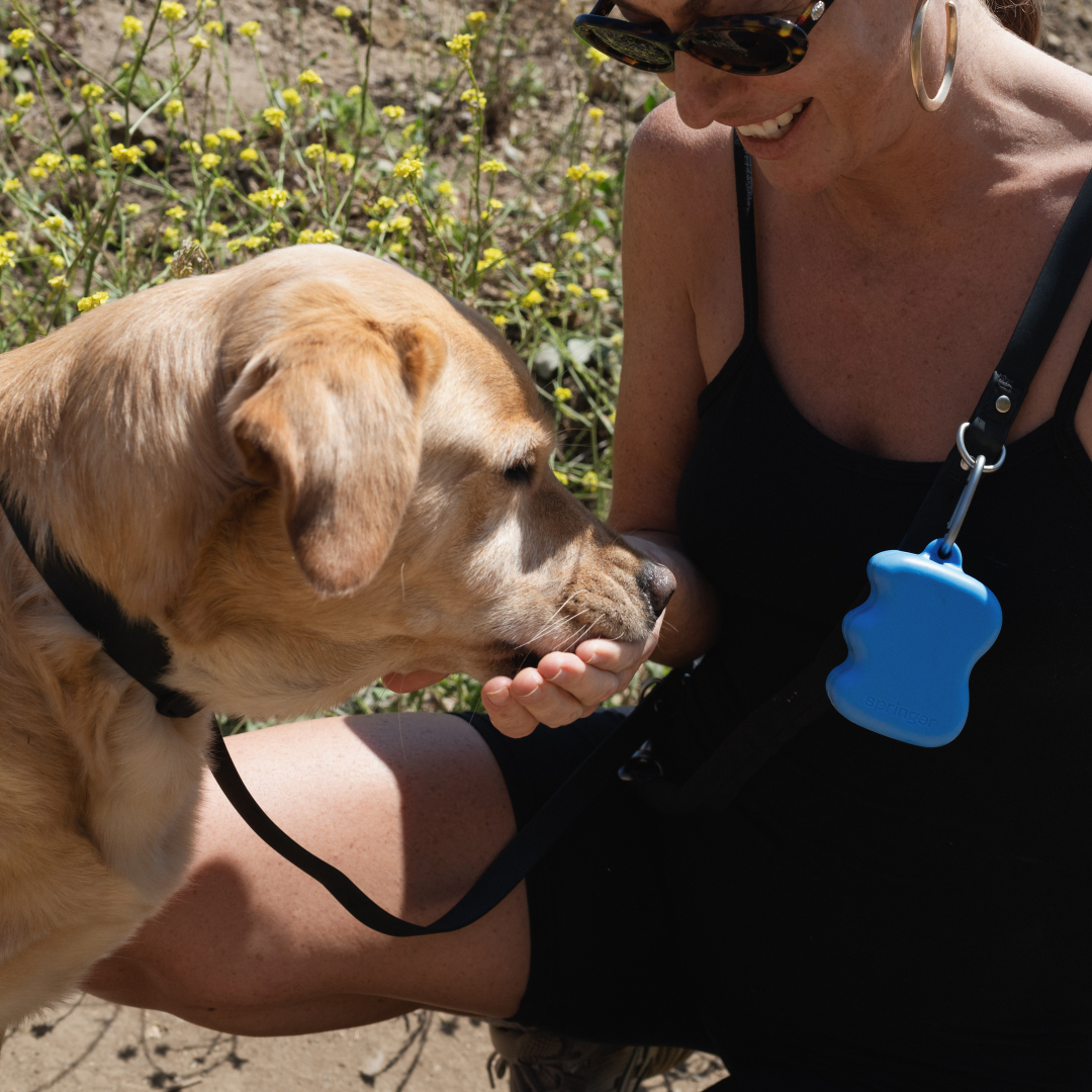 DS- Silicone Dog Treat Dispenser
