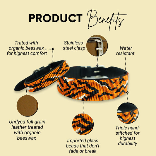 Tiger Sambboho dog collar (animal print collection) -DS