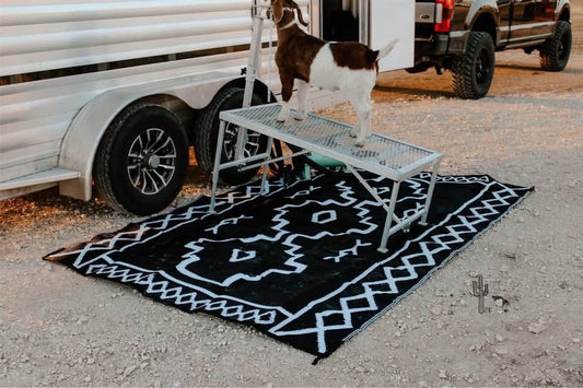 PREORDER- Outdoor Rugs