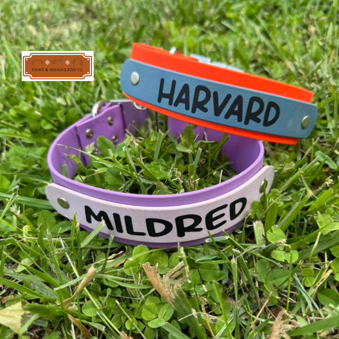 Custom Order Dog Collars