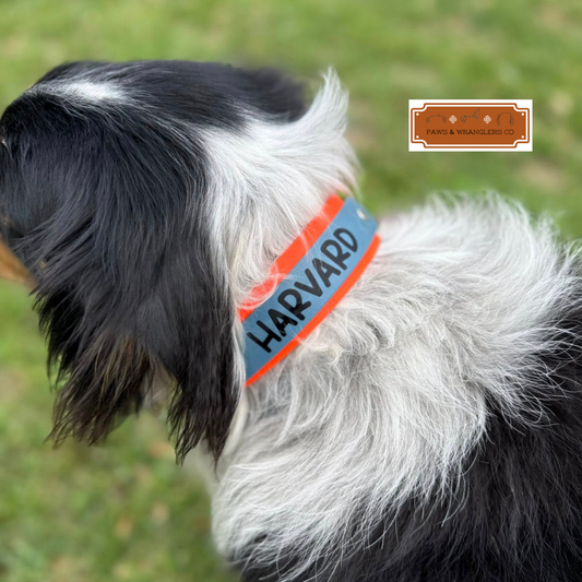 Custom Order Dog Collars