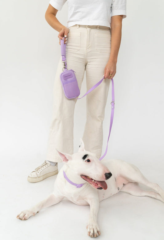 DS- Neoprene Dog Walk Bag with Leash