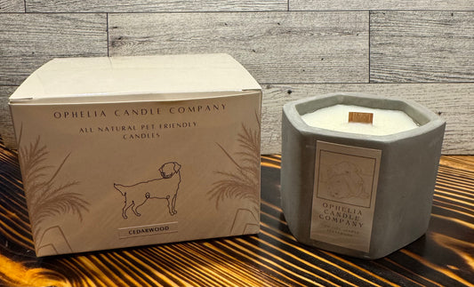 Pet Friendly 5oz Candle (Cement Reusable Vessel) RTS