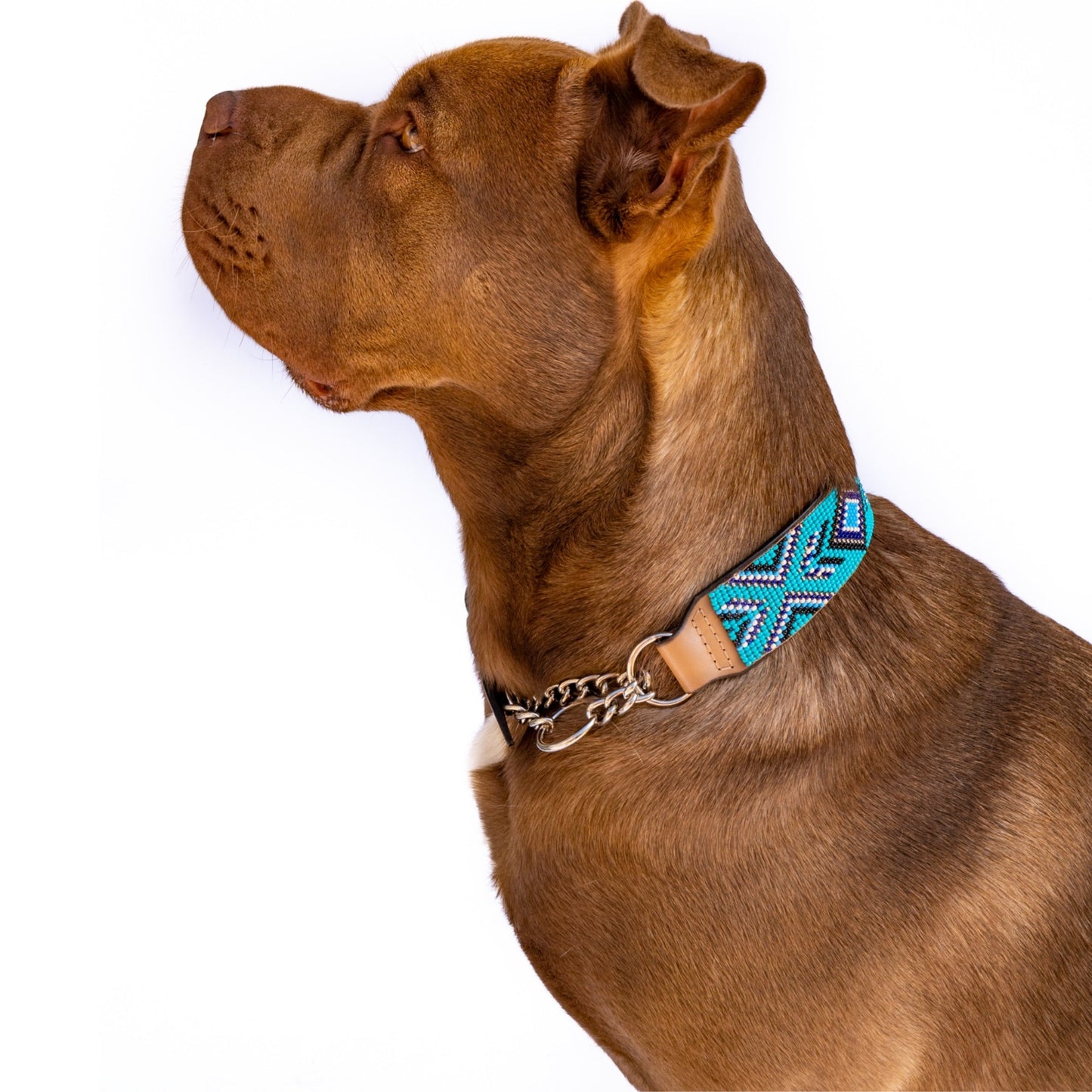 Saint-Tropez Sambboho Martingale dog collar (Training) -DS