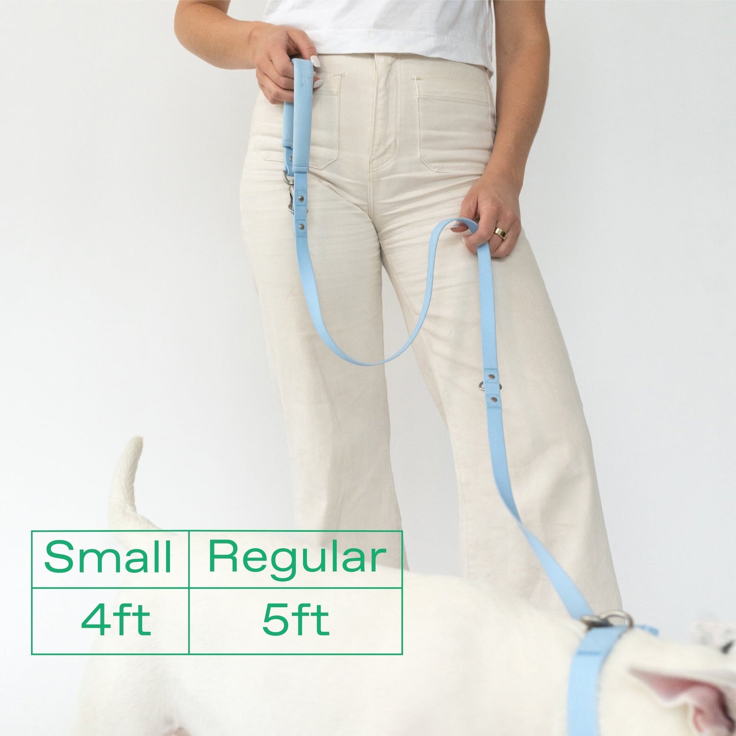 DS- Original Dog Leash with Neoprene Handle