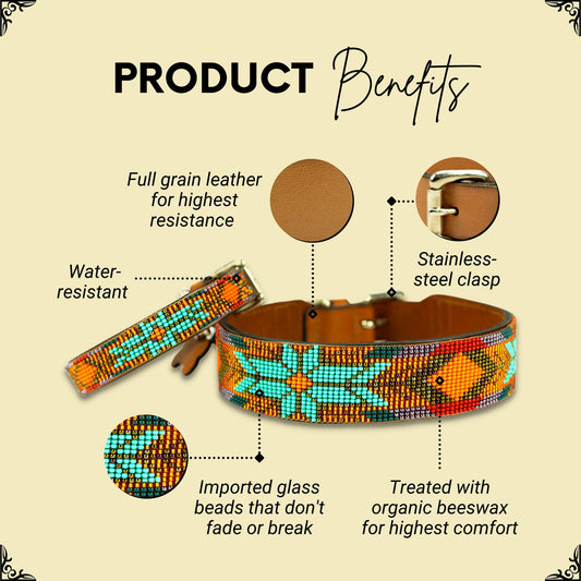 Sardinia Sambboho dog collar (Glam Collection) -DS