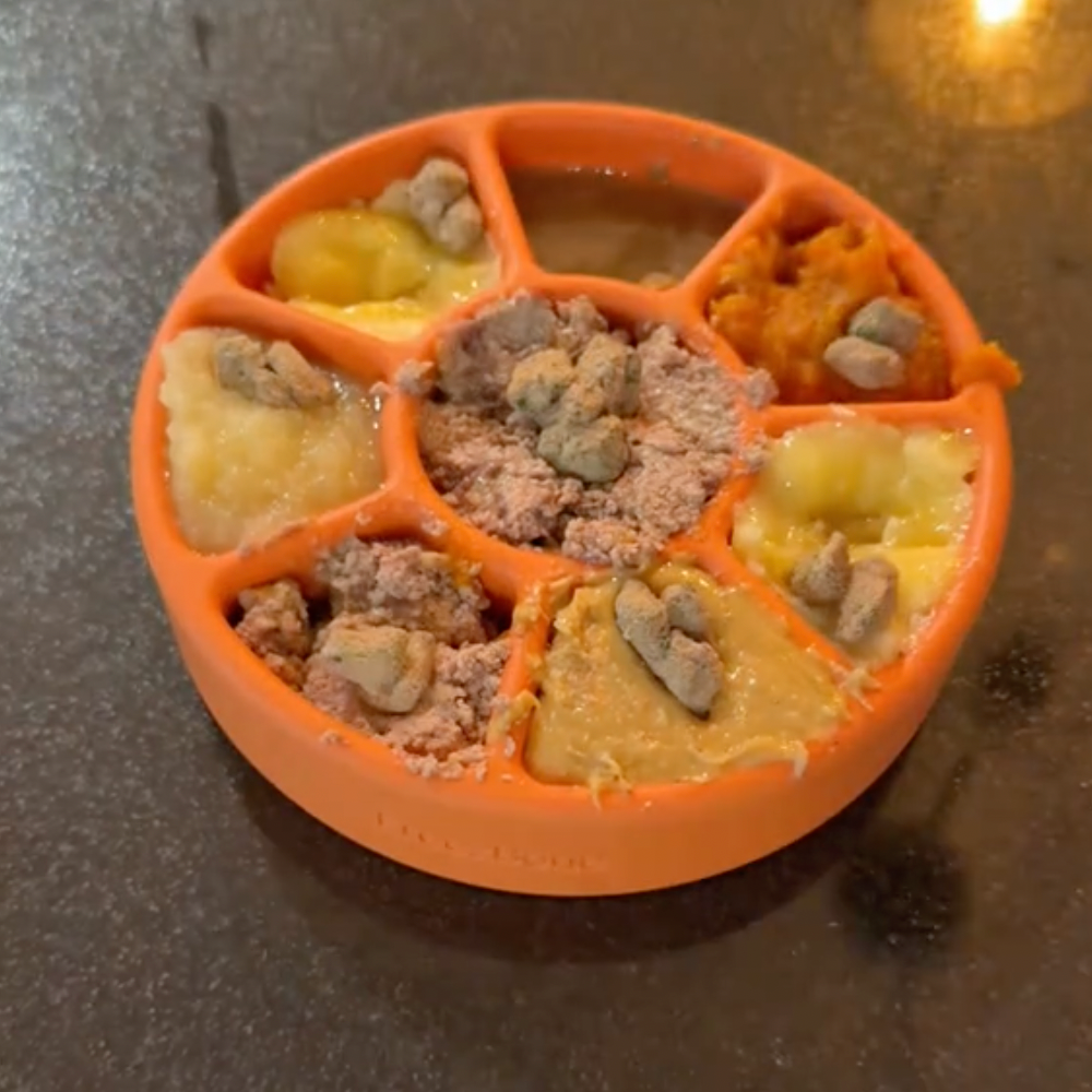 FreezWheel - Durable Interactive Chew -DS