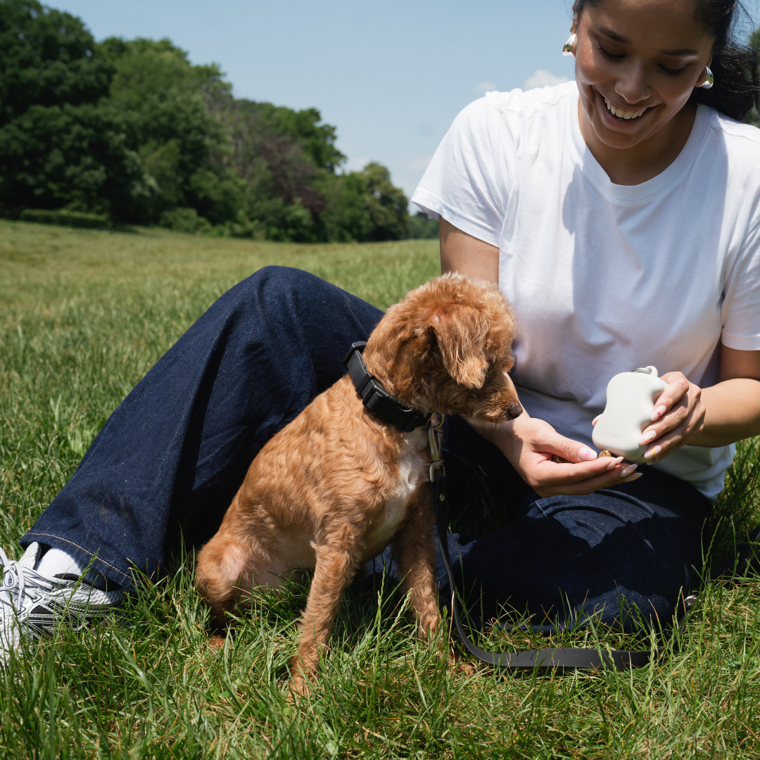 DS- Silicone Dog Treat Dispenser