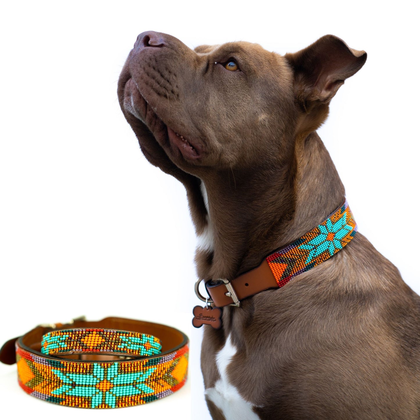 Sardinia Sambboho dog collar (Glam Collection) -DS