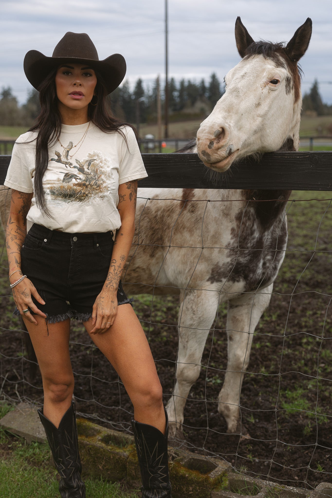 On The Go Distressed Shorts - Black- DS
