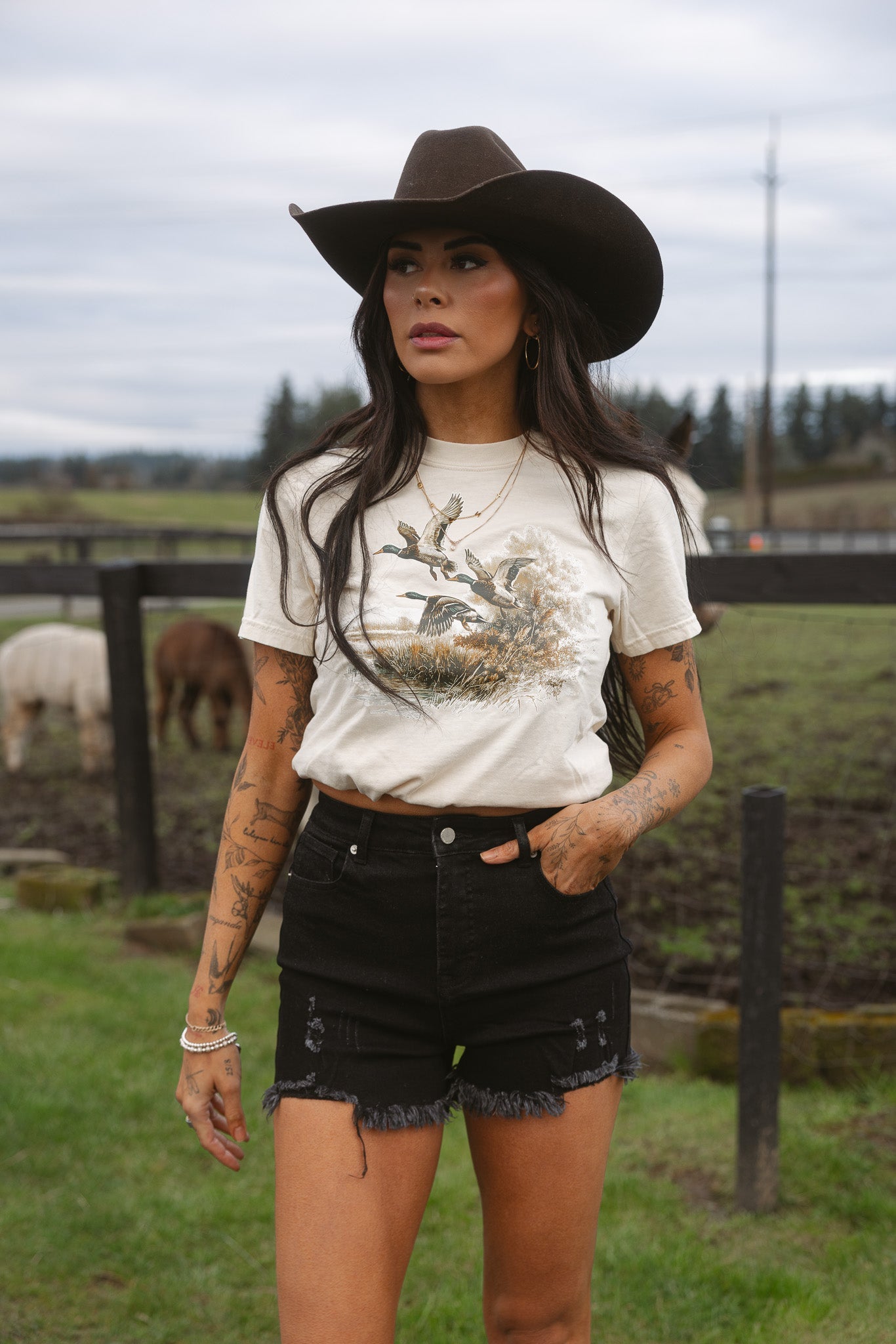 On The Go Distressed Shorts - Black- DS