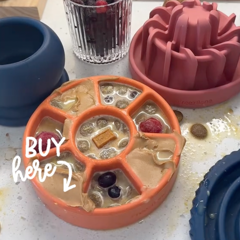 FreezWheel - Durable Interactive Chew -DS