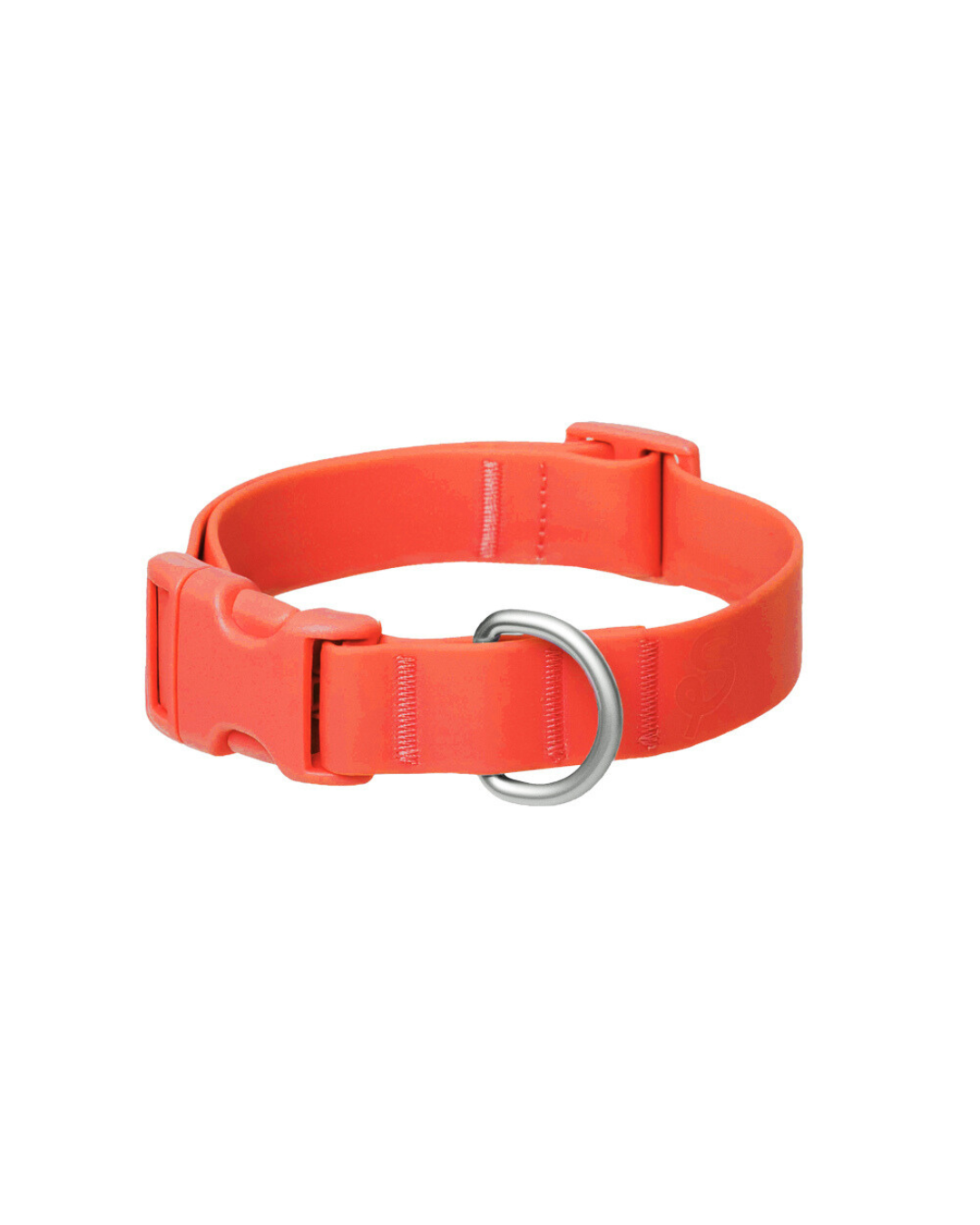 DS- Original Dog Collar