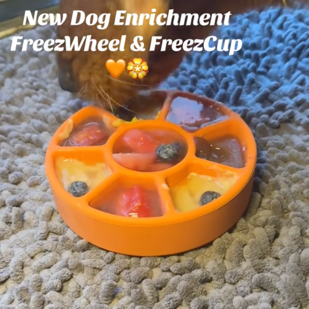 FreezWheel - Durable Interactive Chew -DS