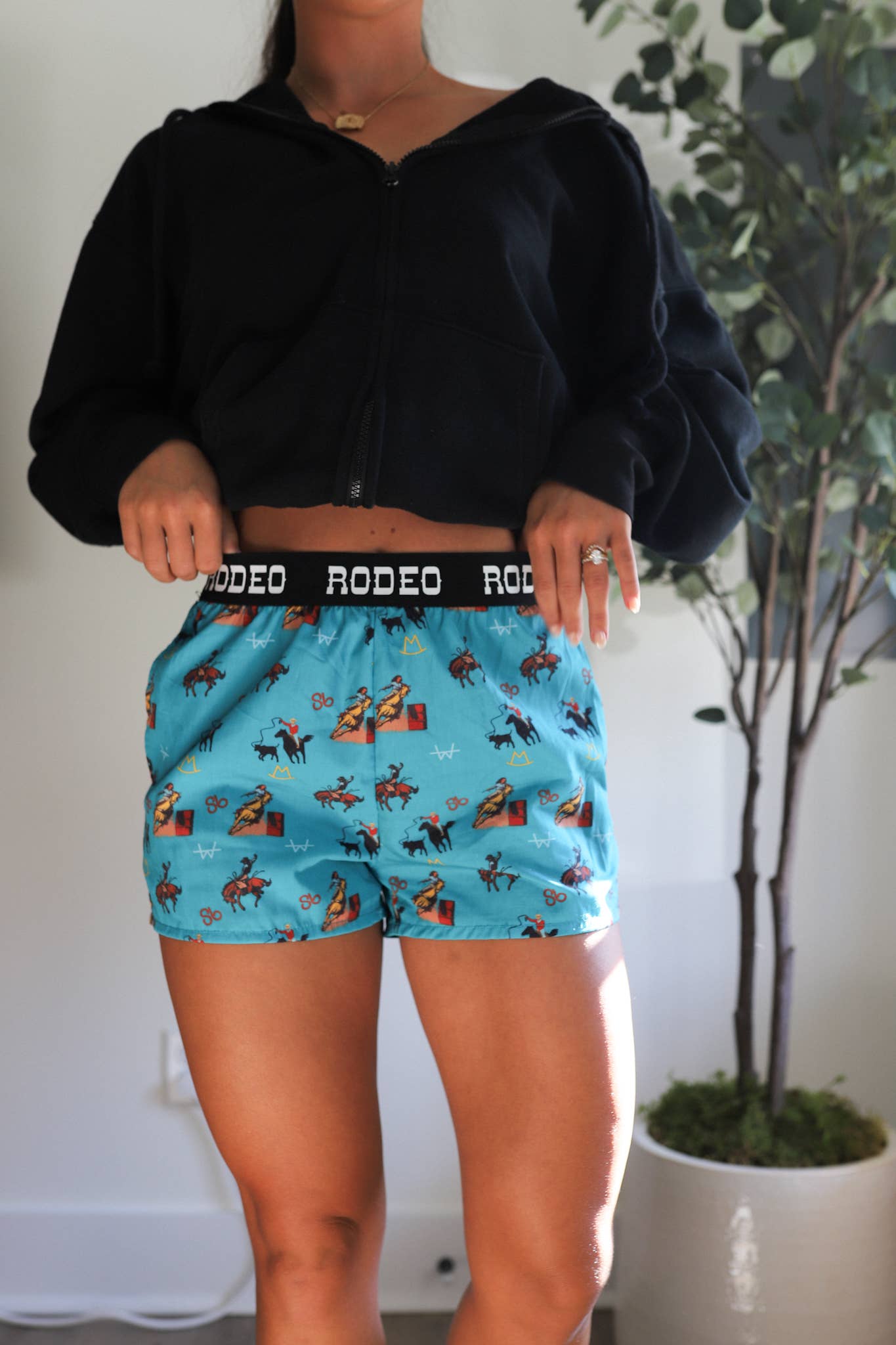 Rodeo Boxers -DS