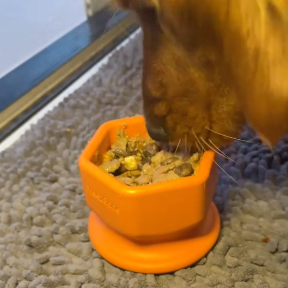 FreezCup - Long-Lasting Chew Fun -DS