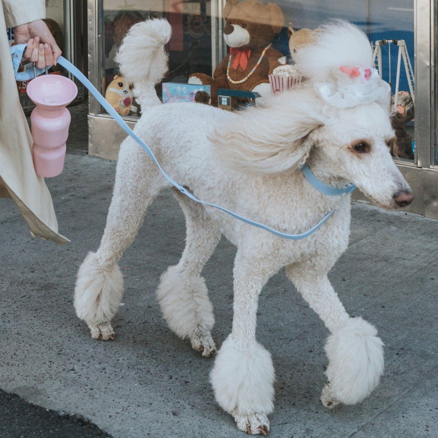 DS- Original Dog Leash with Neoprene Handle