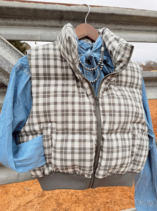 The Plaid Vest -DS