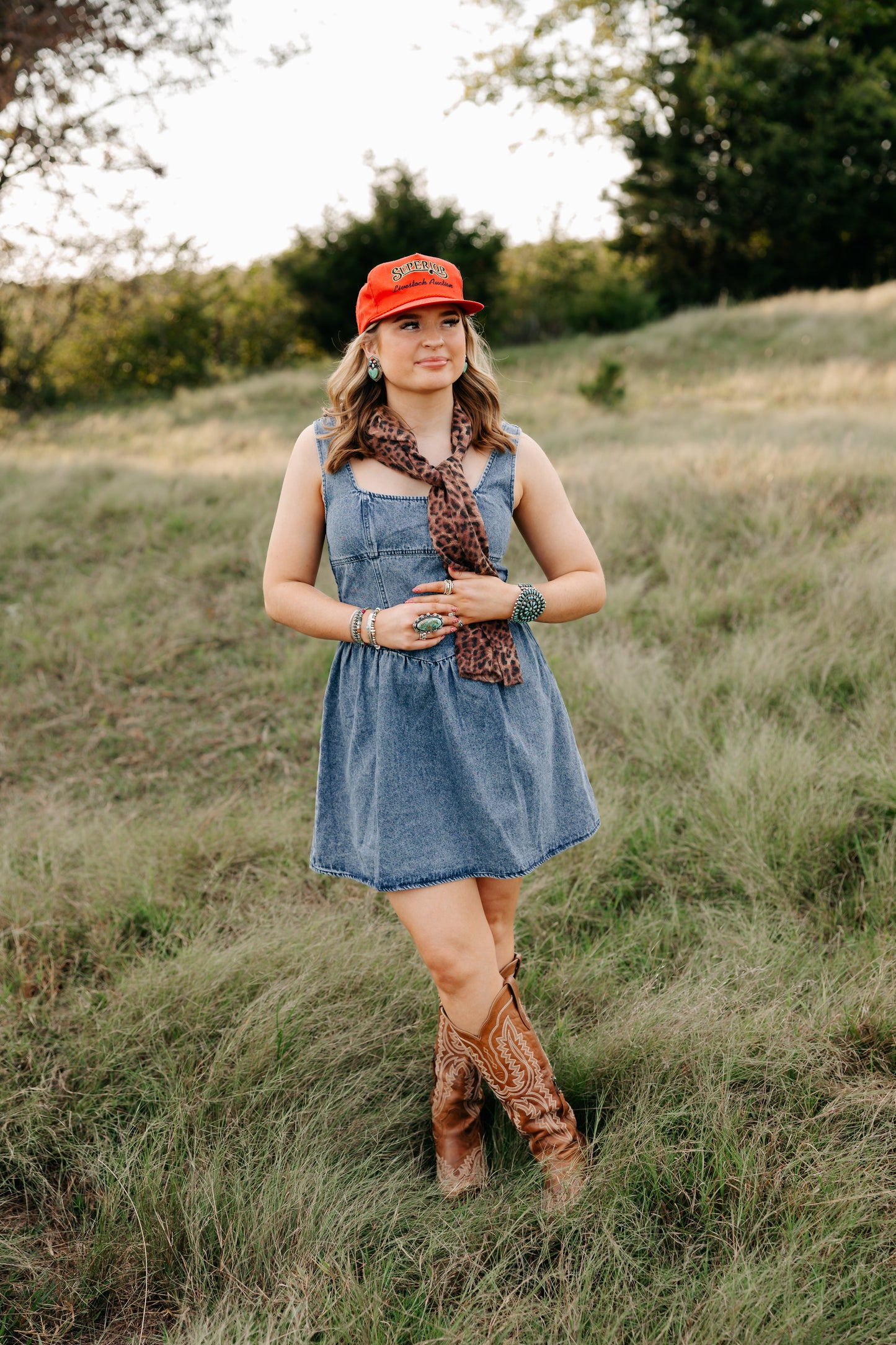 The Taylor Denim Dress -DS