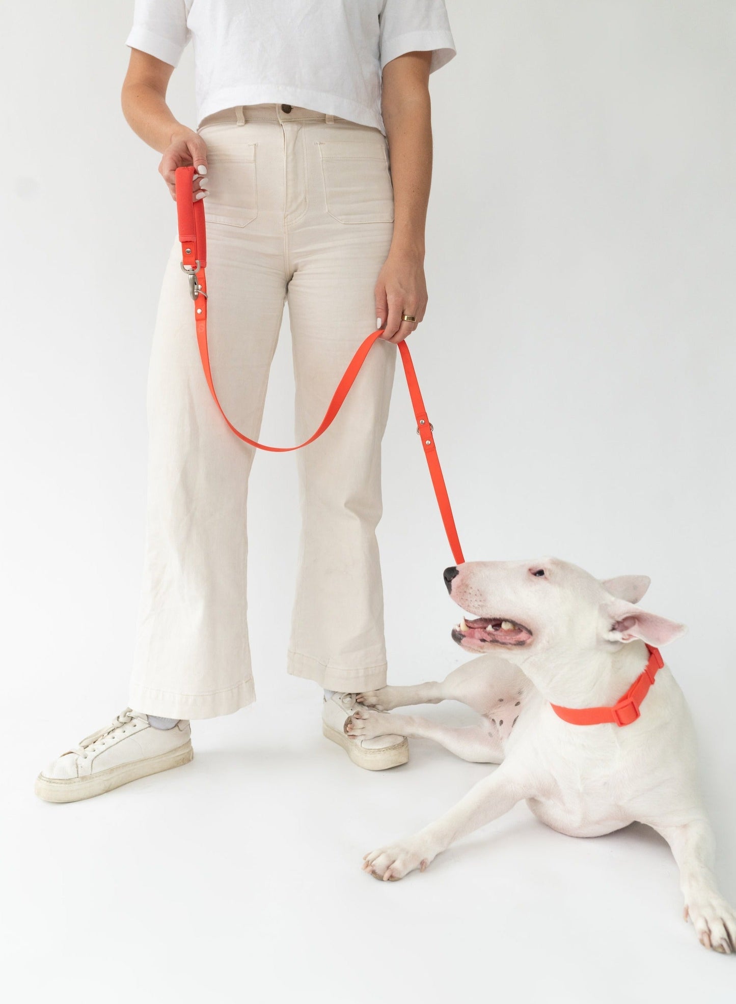 DS- Original Dog Leash with Neoprene Handle