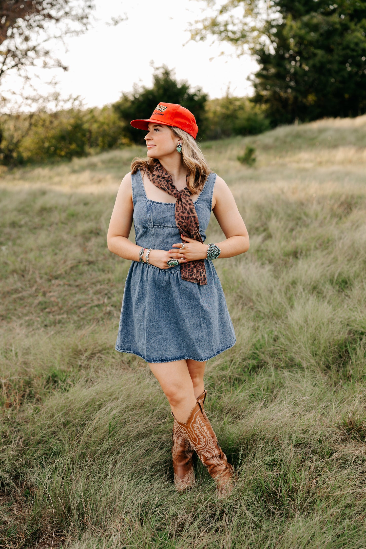 The Taylor Denim Dress -DS