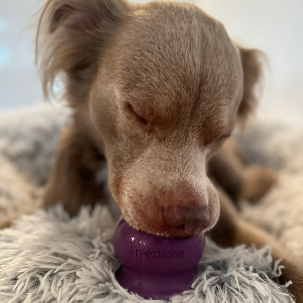 Freezball - Durable Fillable Dog Chew Bone -DS