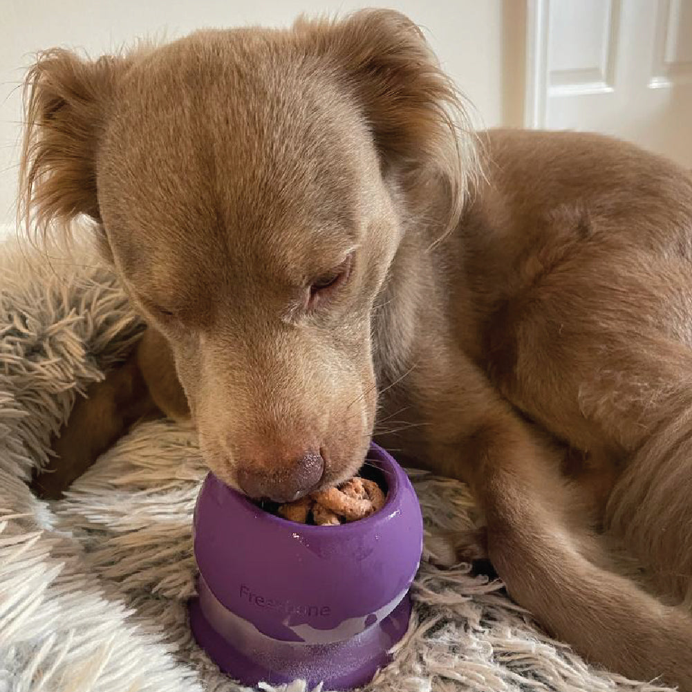 Freezball - Durable Fillable Dog Chew Bone -DS