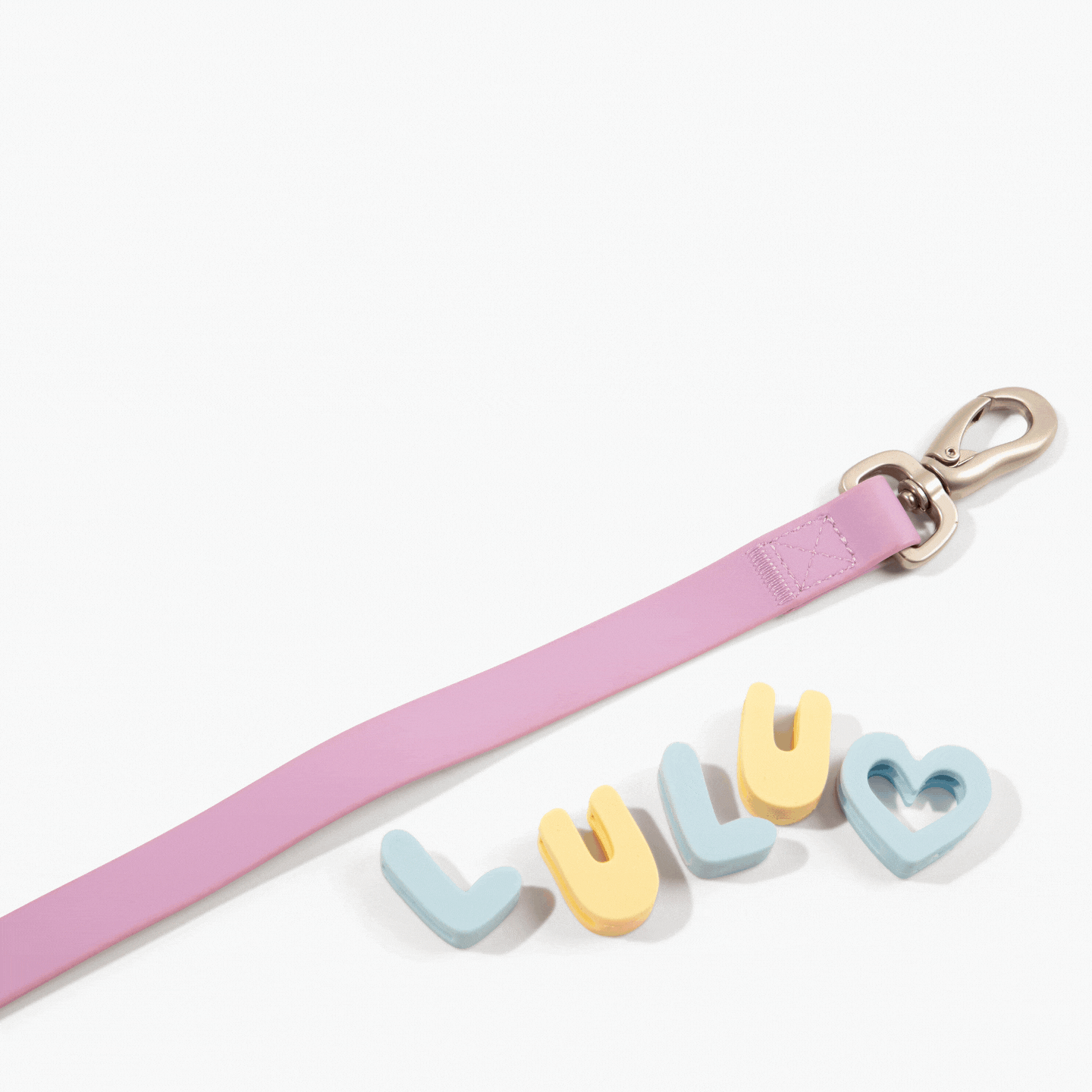 DS- Original Dog Leash with Neoprene Handle