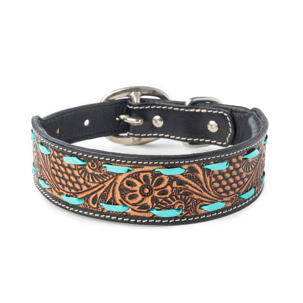 Turquoise Trail Cowboy Dog Collar in Black -DS