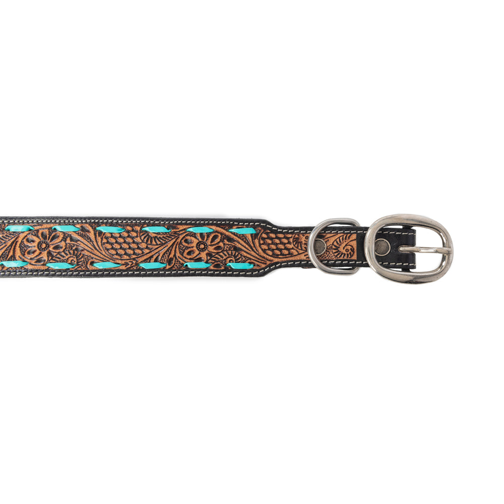 Turquoise Trail Cowboy Dog Collar in Black -DS