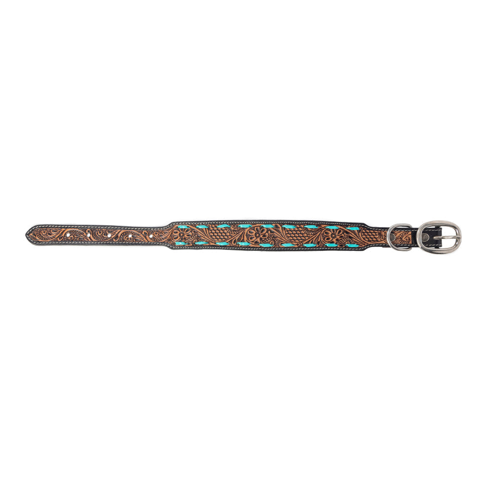 Turquoise Trail Cowboy Dog Collar in Black -DS