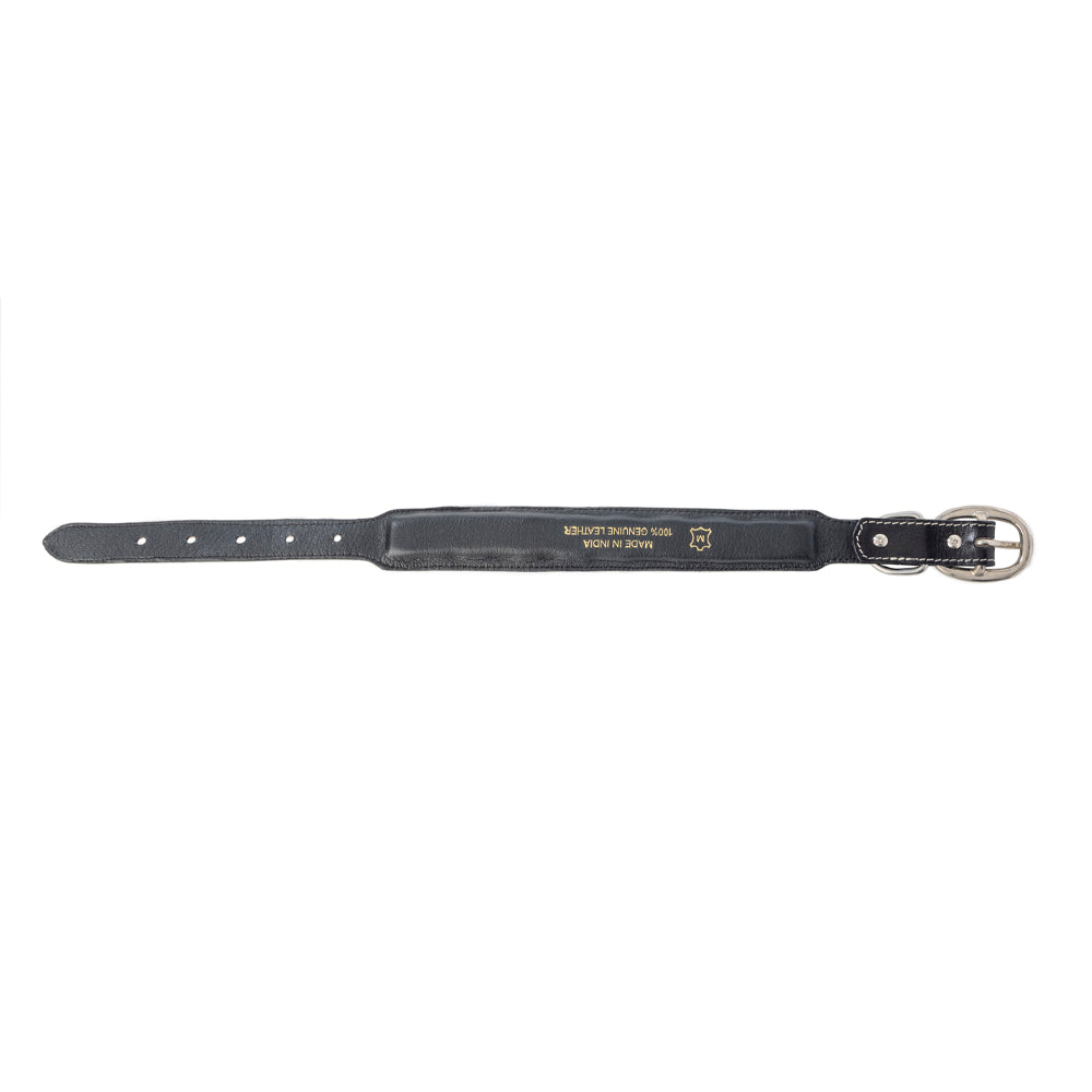 Turquoise Trail Cowboy Dog Collar in Black -DS