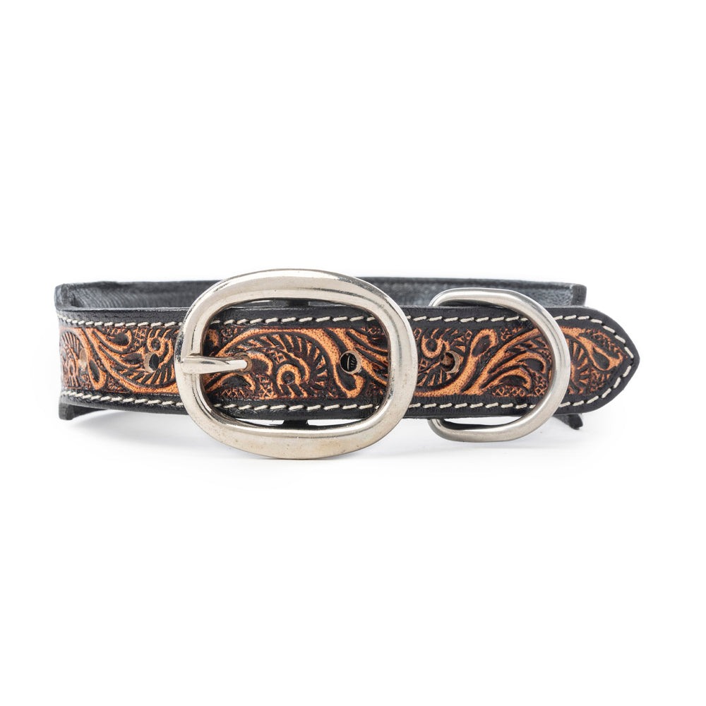 Turquoise Trail Cowboy Dog Collar in Black -DS
