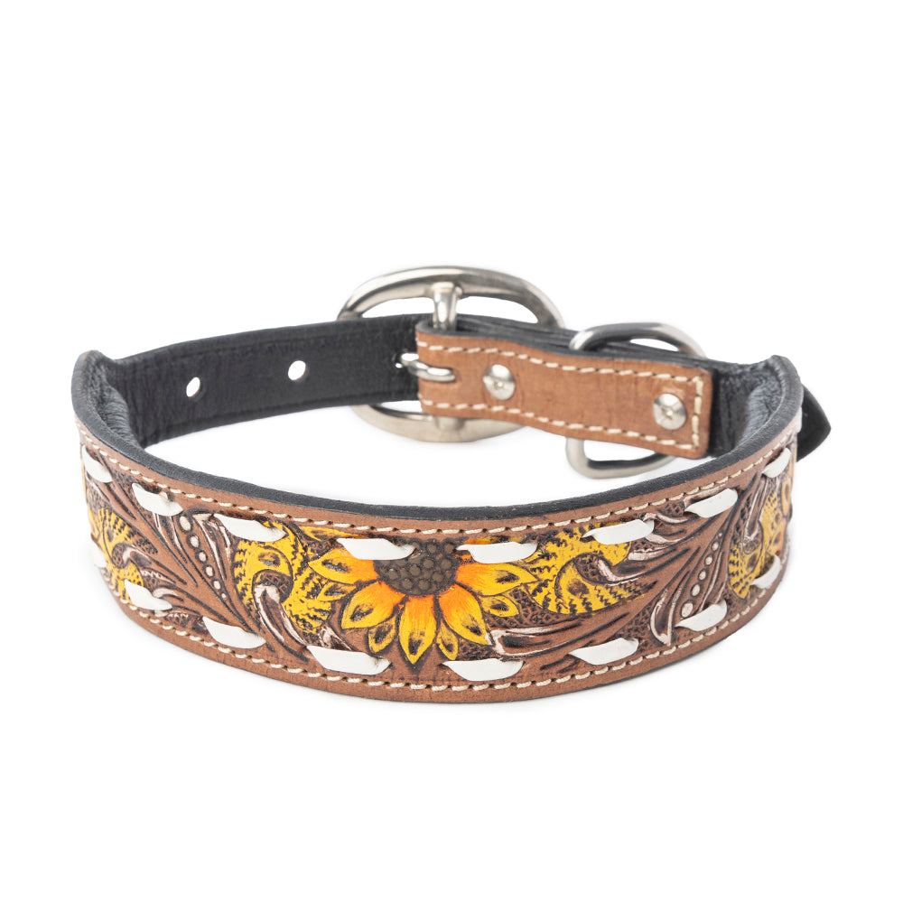 Prairie Sunflower Trail Dog Collar in Sandstone -DS