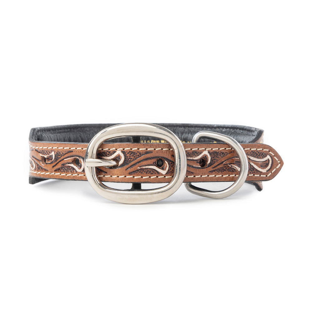 Prairie Sunflower Trail Dog Collar in Sandstone -DS