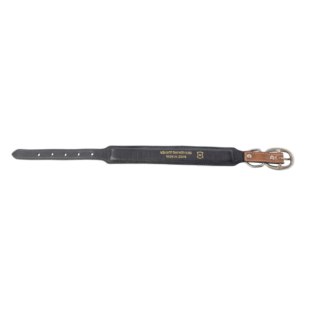 Prairie Sunflower Trail Dog Collar in Sandstone -DS