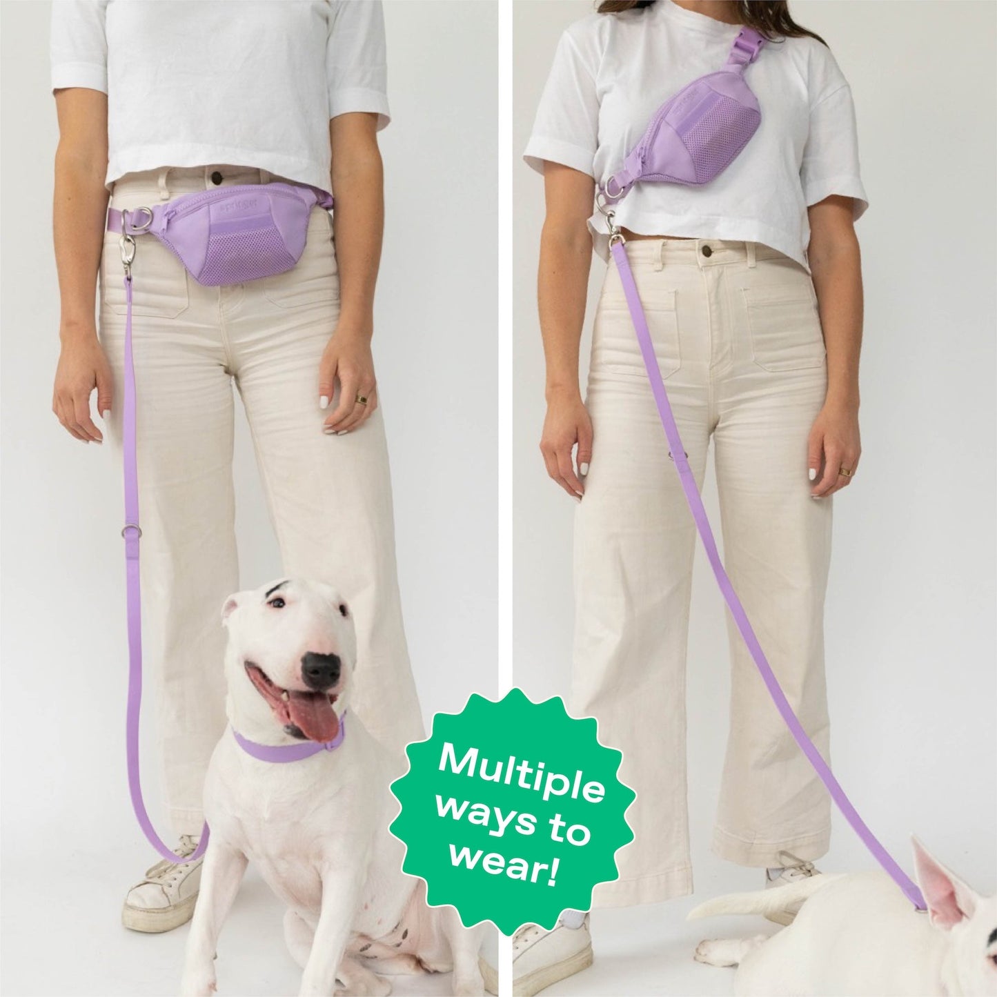 DS- Hands-Free Neoprene Dog Sling Bag with Leash
