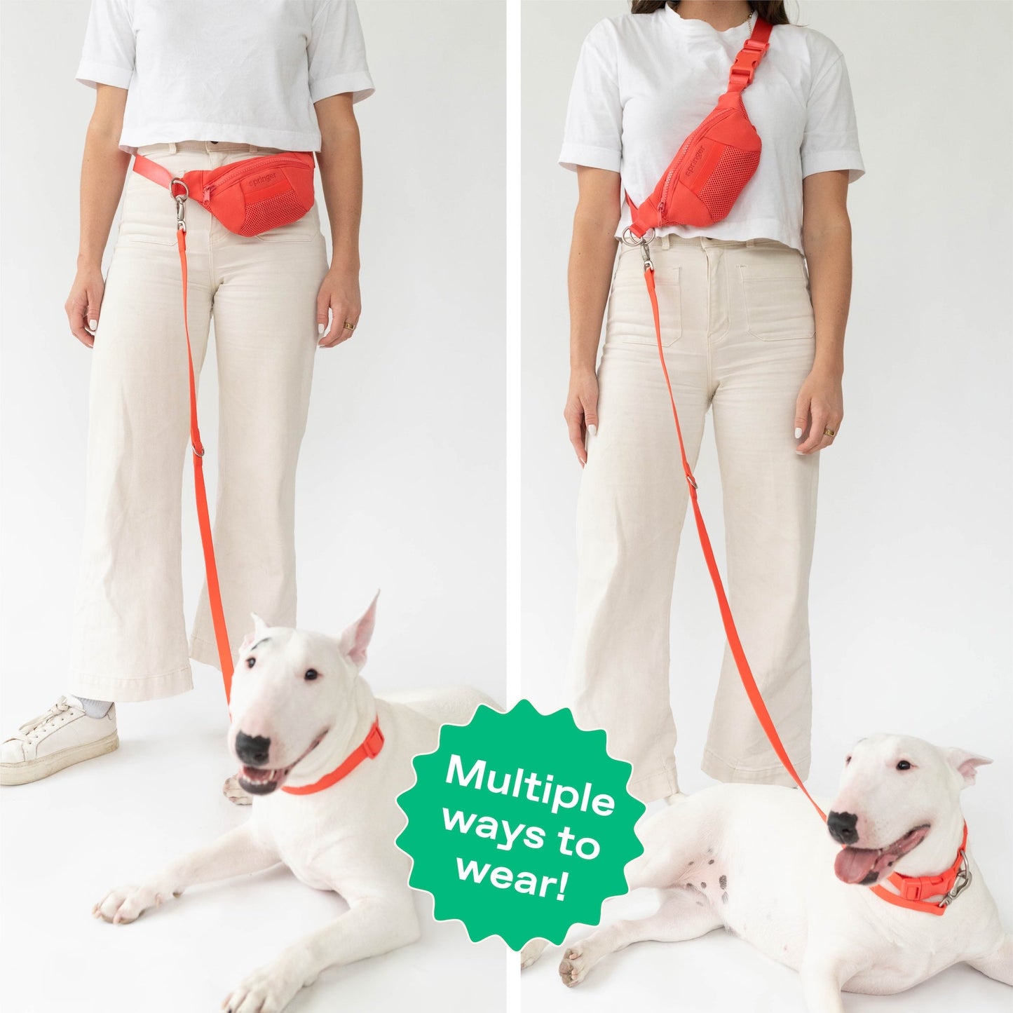 DS- Hands-Free Neoprene Dog Sling Bag with Leash