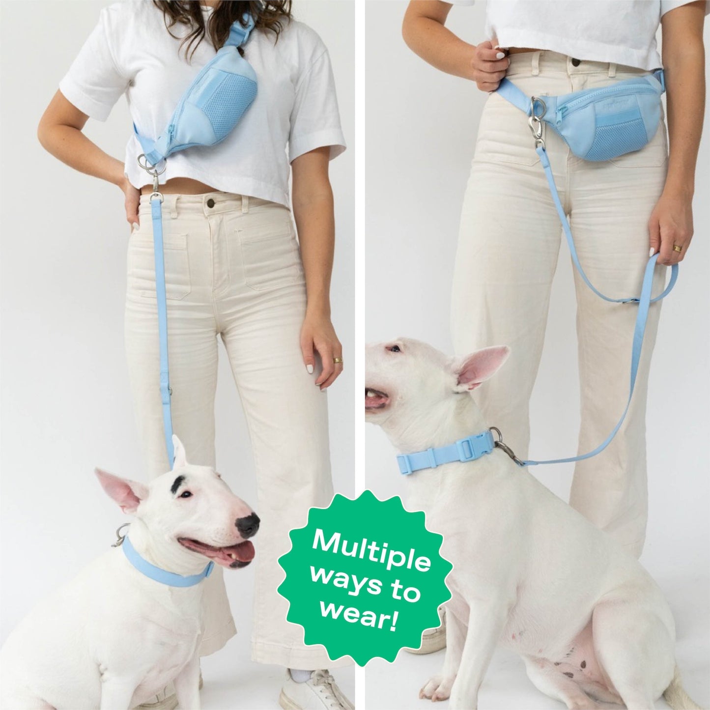 DS- Hands-Free Neoprene Dog Sling Bag with Leash