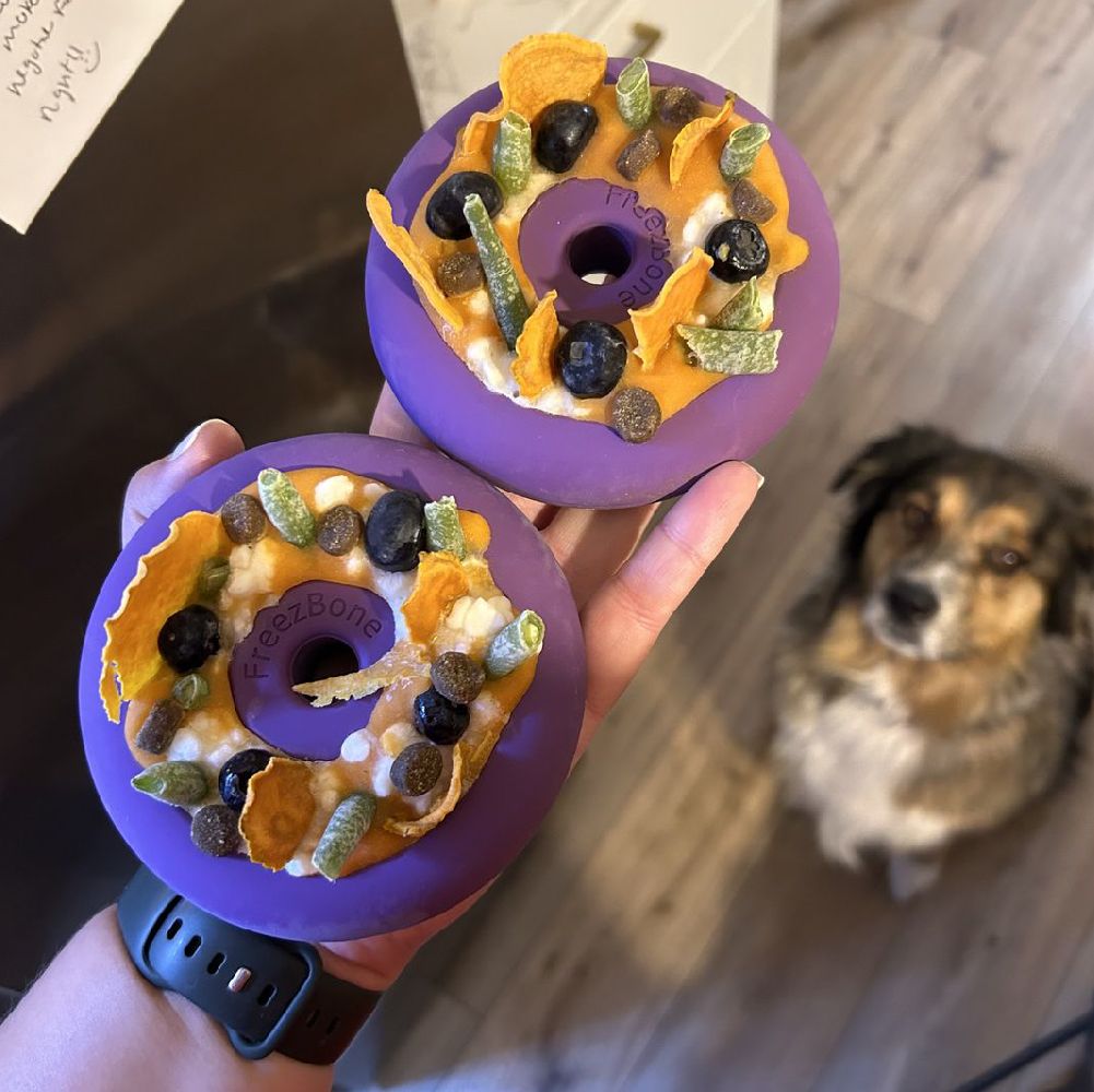 Freez Doughnut - Super Durable Treat Toy -DS