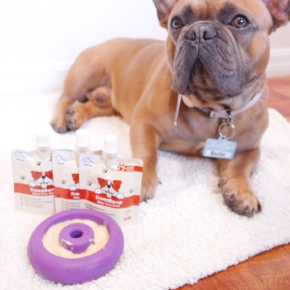 Freez Doughnut - Super Durable Treat Toy -DS