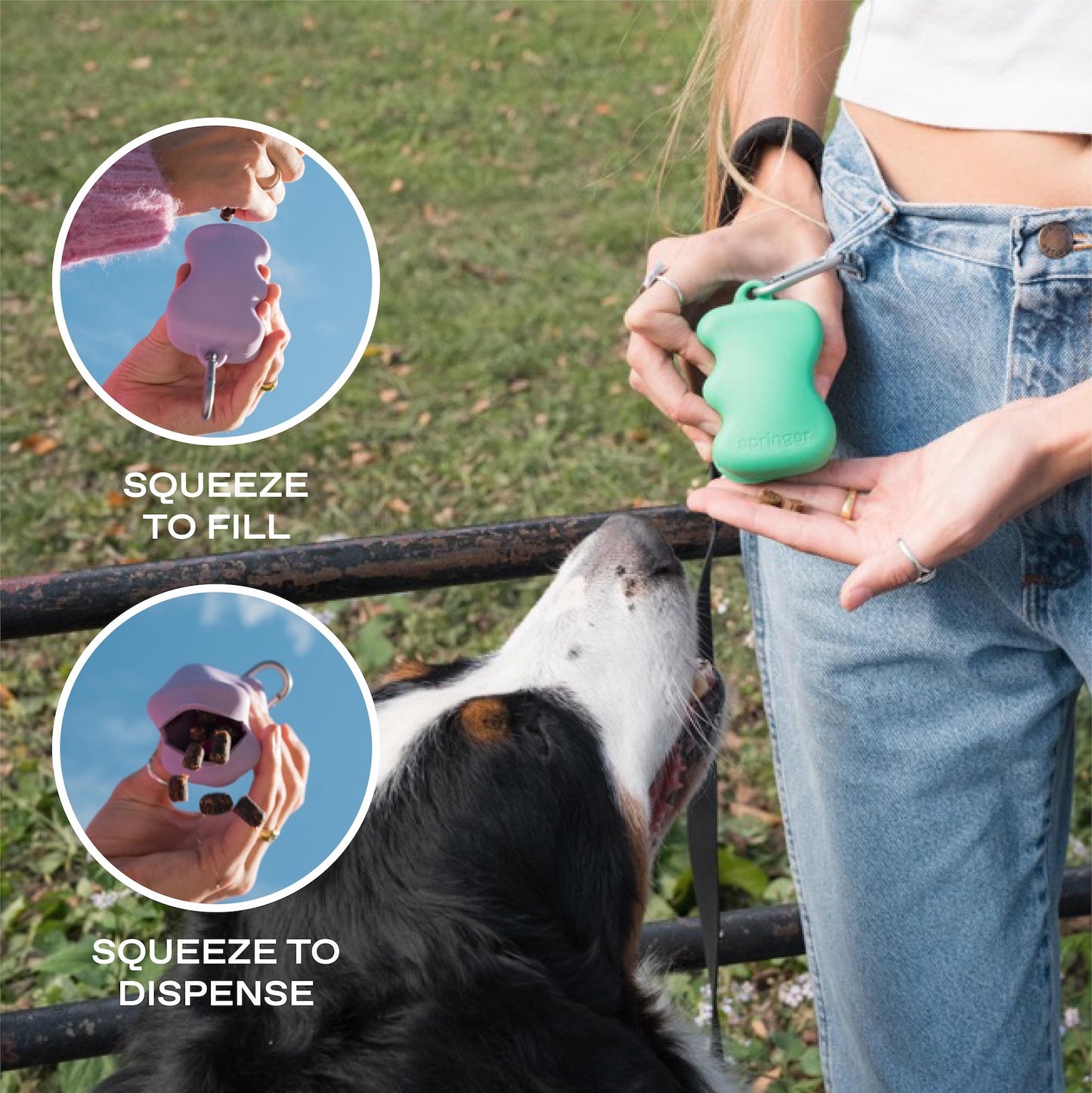 DS- Silicone Dog Treat Dispenser