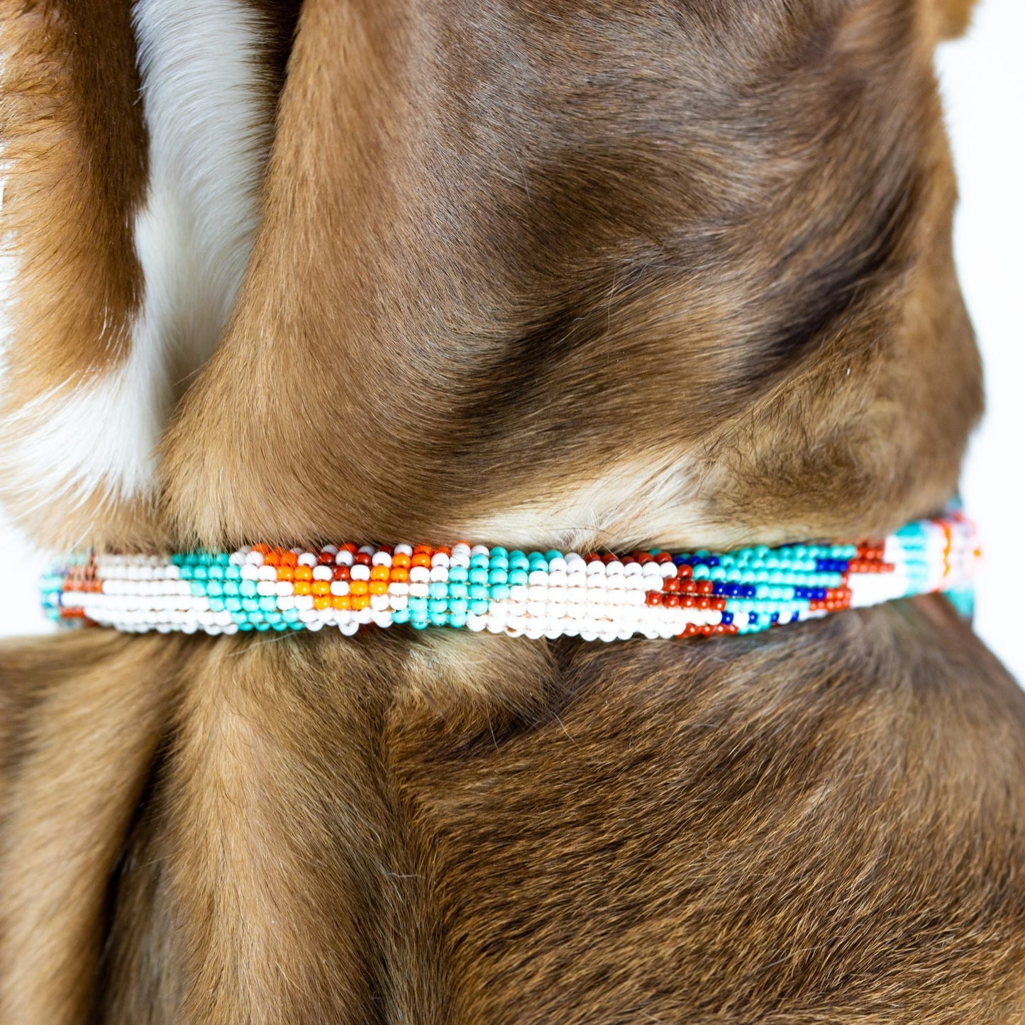 DS- Aztec Sambboho dog collar (rolled)