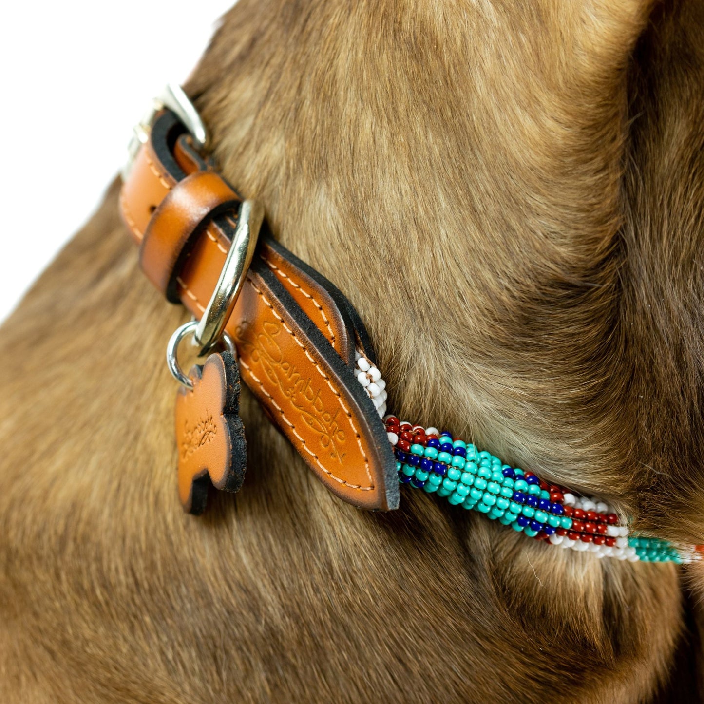DS- Aztec Sambboho dog collar (rolled)