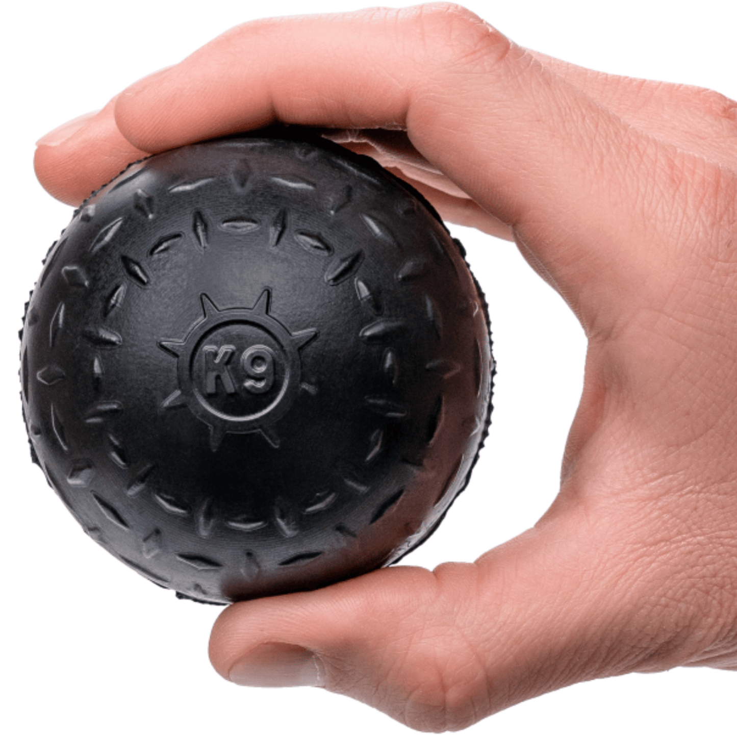 Beast Ball -DS