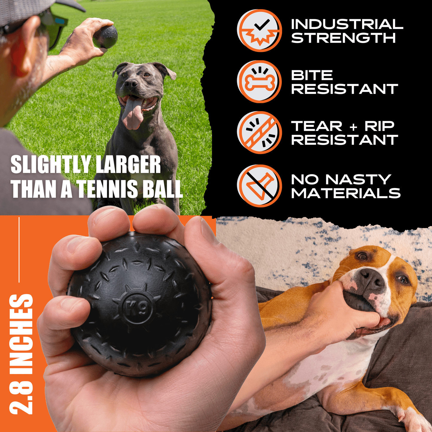 Beast Ball -DS
