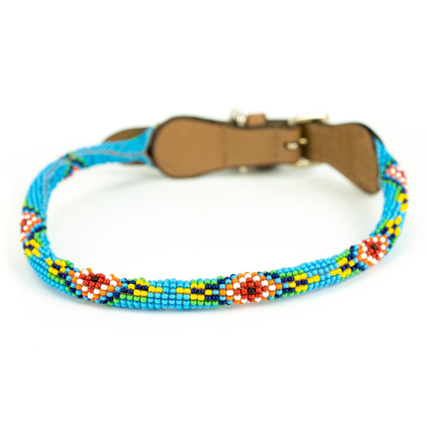 DS- Blue Vogue Sambboho dog collar (rolled)