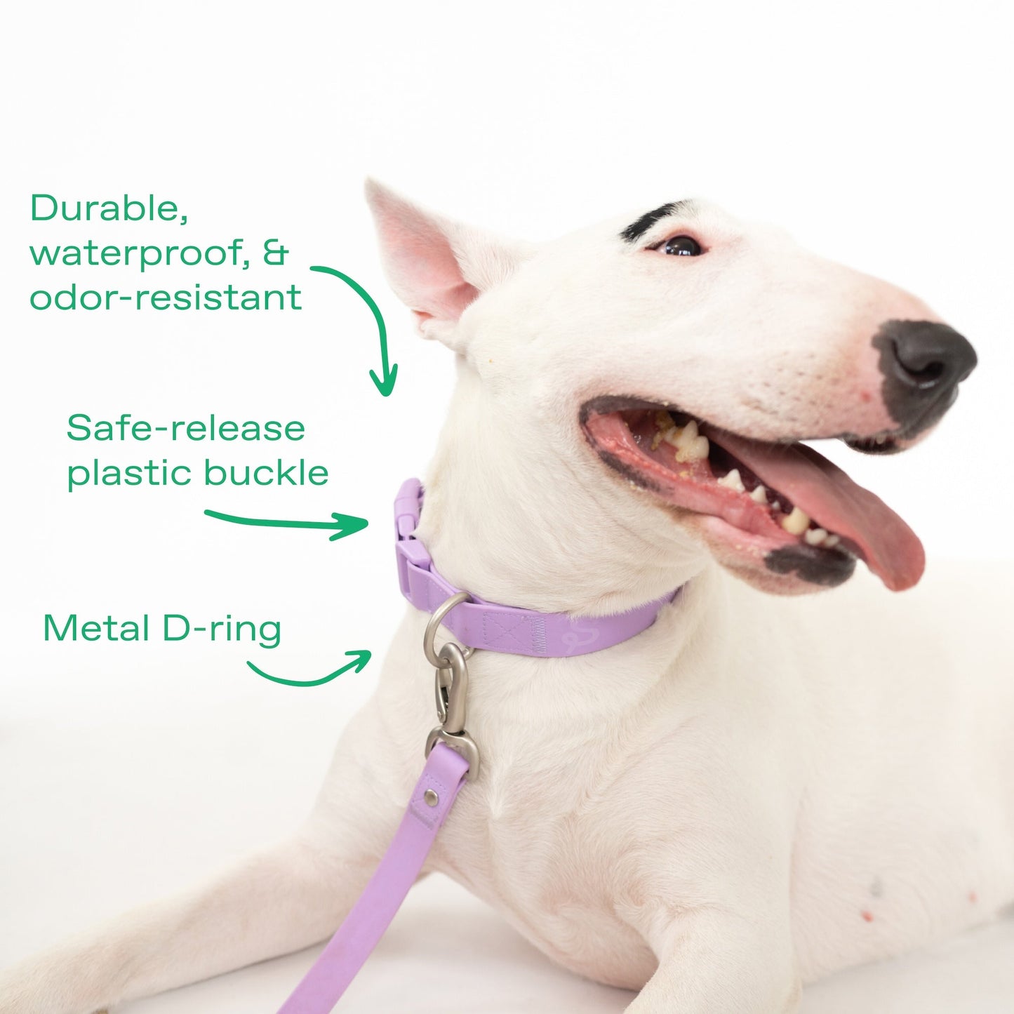 DS- Original Dog Collar