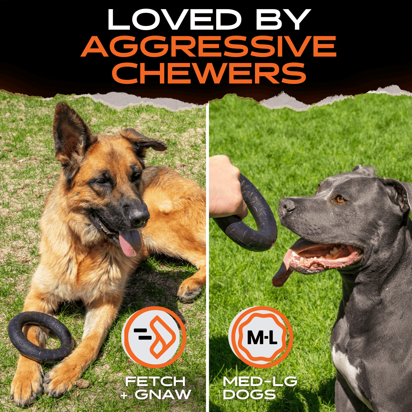 Chew Ring -DS